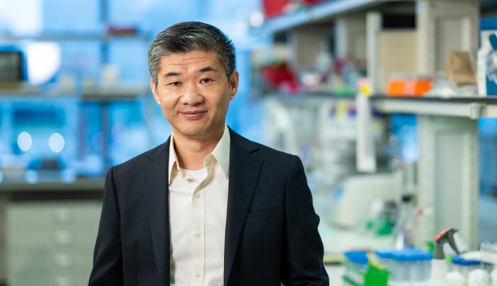 What is inflammaging? | UT MD Anderson