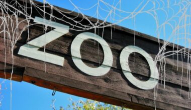Halloween Is Going Wild at the El Paso Zoo This October