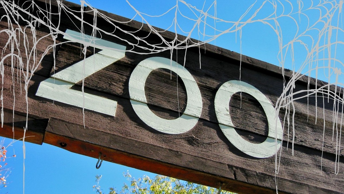 Halloween Is Going Wild at the El Paso Zoo This October