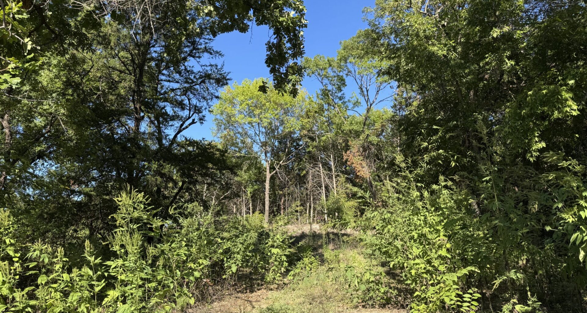 Woody Branch Park community meeting happening Oct. 8