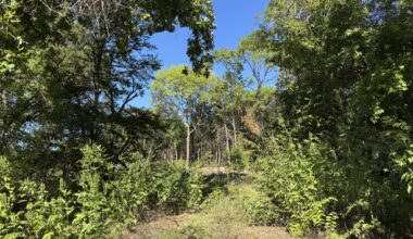 Woody Branch Park community meeting happening Oct. 8