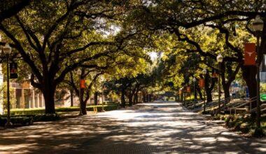 UT Austin Opens Regional Cybersecurity Center in Campus Library -- Campus Security Today