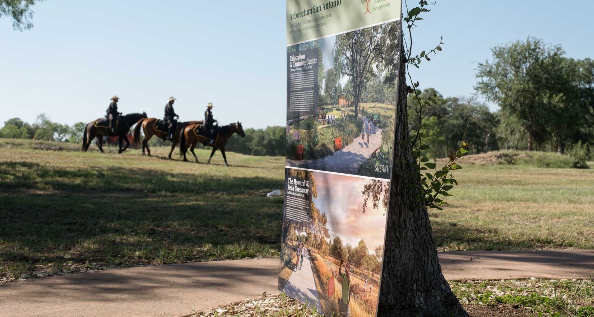 Heritage mesquite trees cut down at Arboretum San Antonio