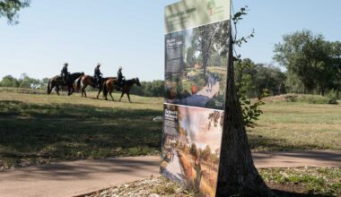 Heritage mesquite trees cut down at Arboretum San Antonio
