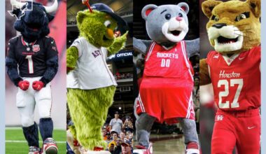 An NHL team in Houston? Let’s find a mascot with local flavor.