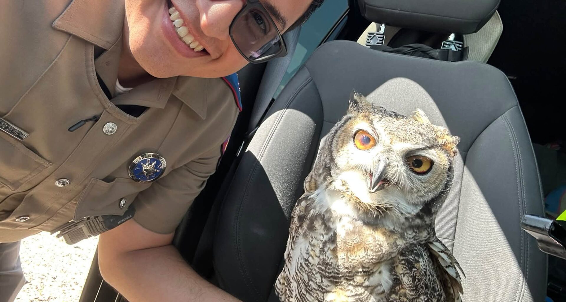 Texas DPS trooper rescues injured great horned owl from highway