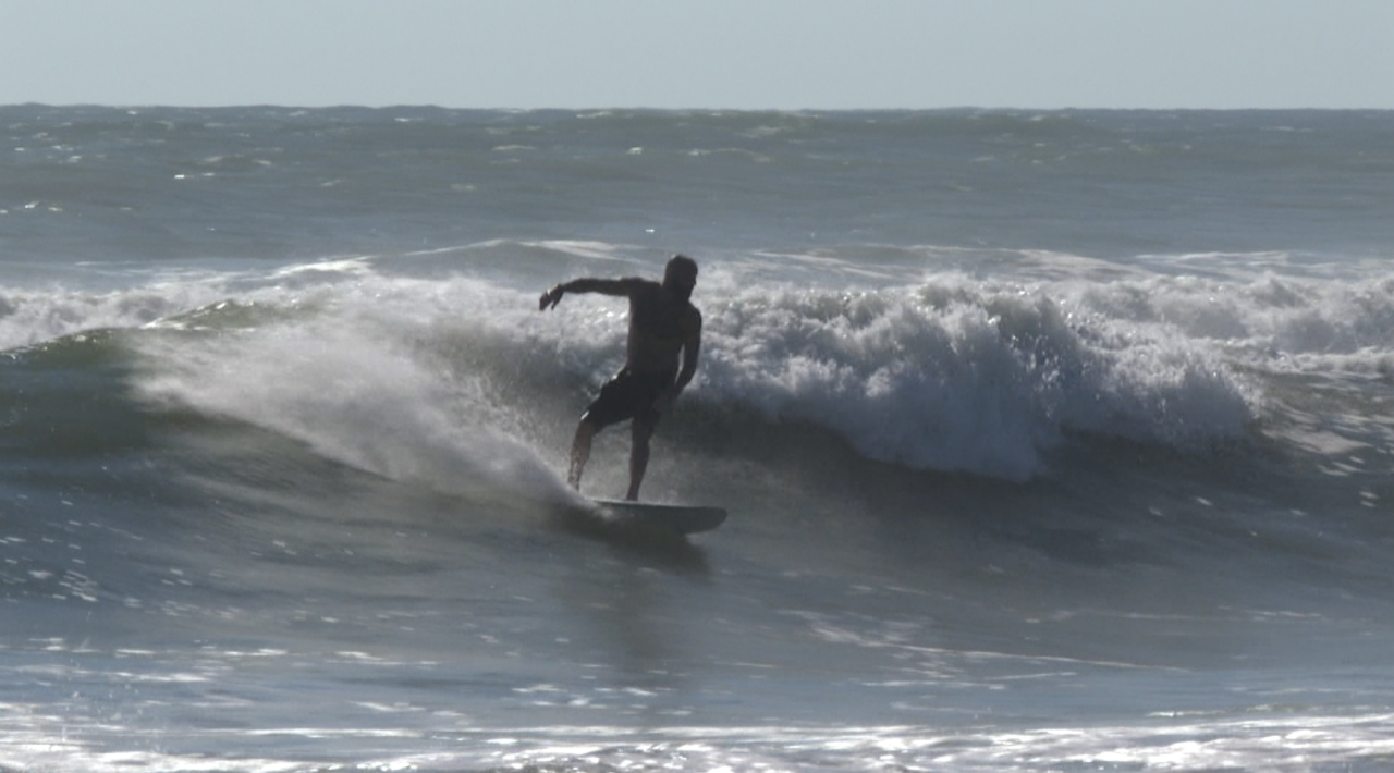 SURFER