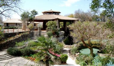 San Antonio's Jingu House marks 100 years with free festival