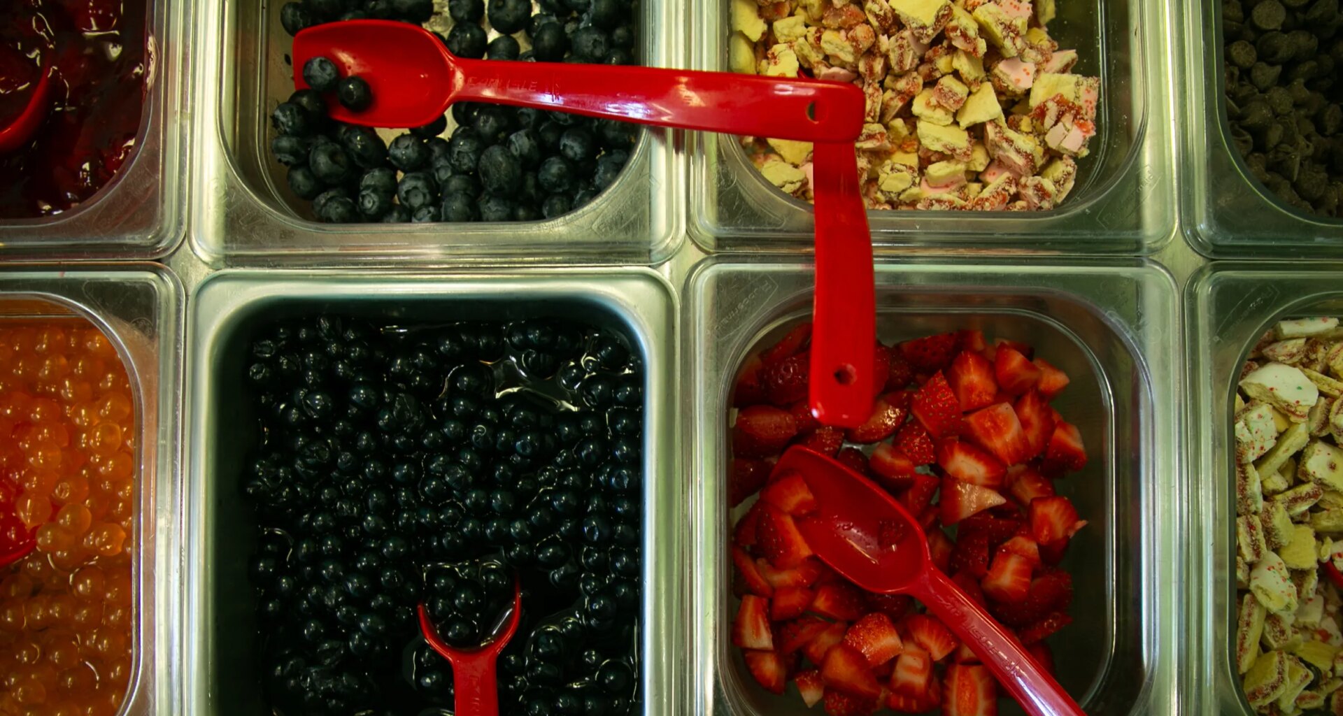 Which two Coastal Bend restaurants had gnats?