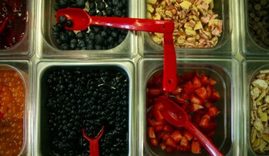 Which two Coastal Bend restaurants had gnats?