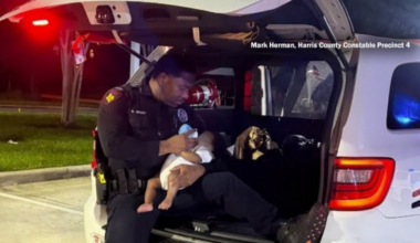 Mother arrested for reckless driving with children inside vehicle in northeast Harris County, Precinct 4 says