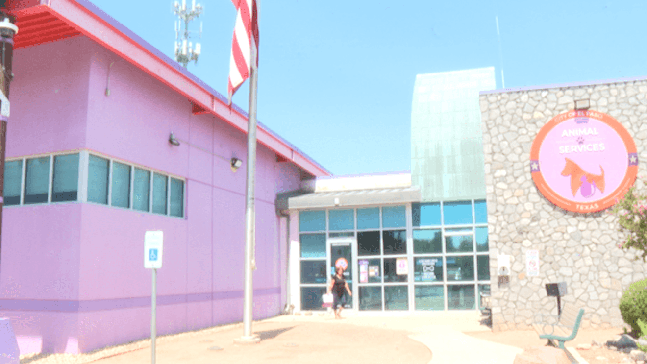 station icon