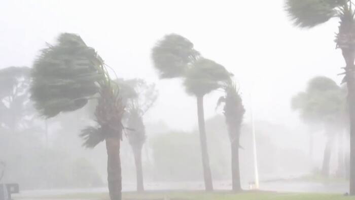 Hurricane Isaias could mean higher insurance deductibles for Southeast Texas homeowners
