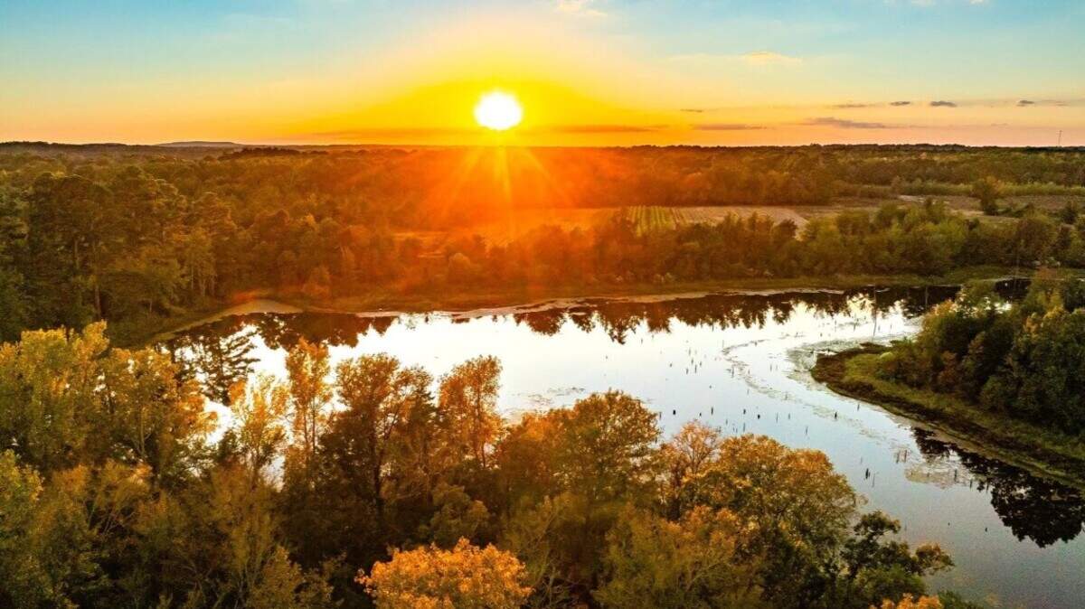 New Texas state park planned on Lake Palestine pecan nursery