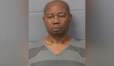 Animal cruelty in Austin: 1 dog dead, 1 other found severely underweight; man arrested
