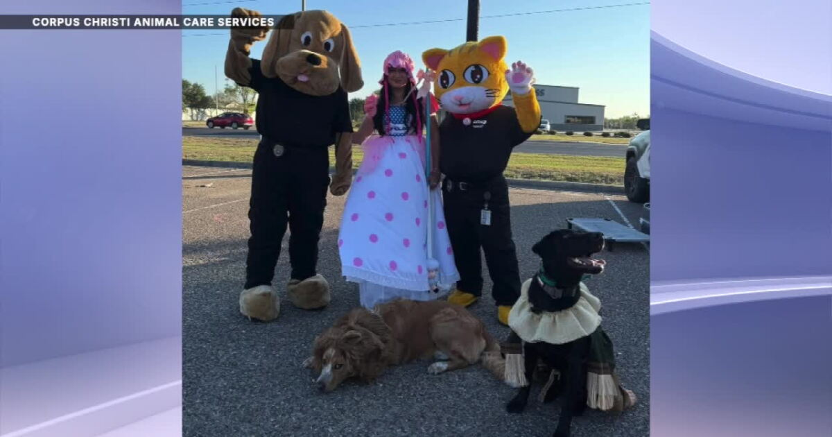 Spooktacular fun! Corpus Christi Animal Care hosts Trunk or Treat Saturday