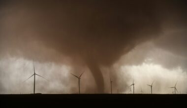 Must-Know Facts And Safety Steps For Lubbock Tornadoes