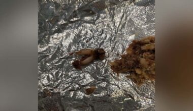Austin woman sues Torchy's Tacos after finding 'cow tooth' in her taco