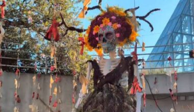 San Antonio Botanical Garden’s newest exhibition celebrates Día de los Muertos