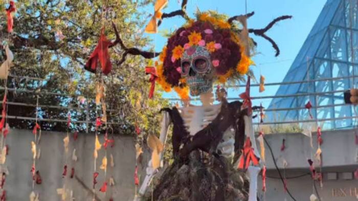 San Antonio Botanical Garden’s newest exhibition celebrates Día de los Muertos