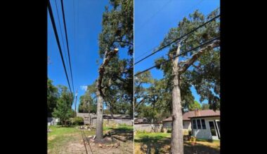 CenterPoint tree trimming sparks debate after Cypress homeowner shares photos
