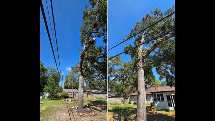 CenterPoint tree trimming sparks debate after Cypress homeowner shares photos