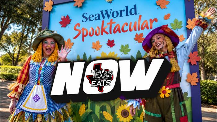 Seaworld Spooktacular & Howl-O-Scream bring Halloween Frights to San Antonio