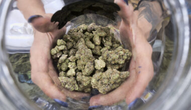 Houston marijuana arrests rise as voters weigh Prop A on Nov. 3 ballot