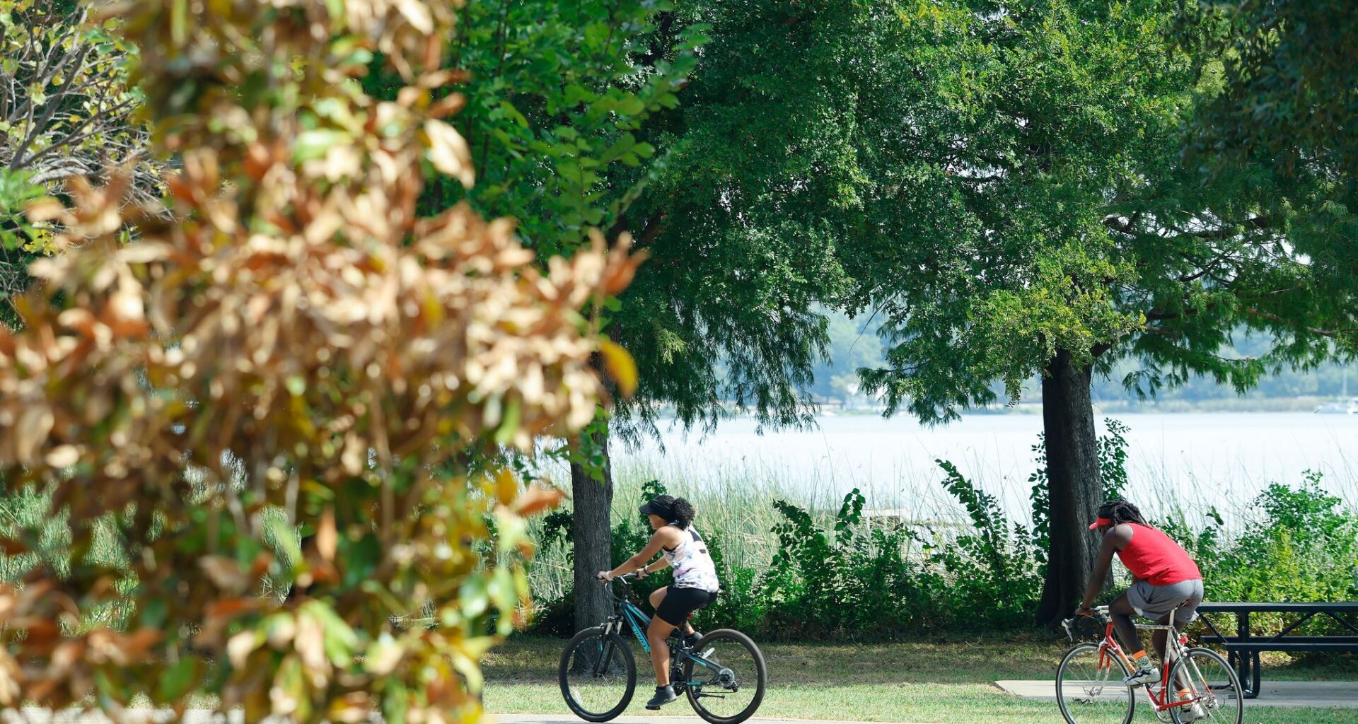 Bicyclists ride along White Rock Lake as the leaves change color, Wednesday, Sept. 23, 2026, in Dallas.
