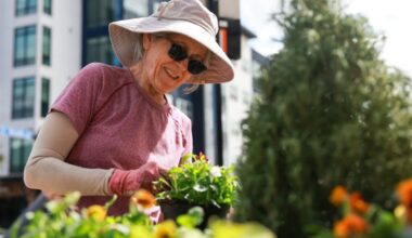 'Downtown in Bloom' Landscaping Program Add Color to Heart of City