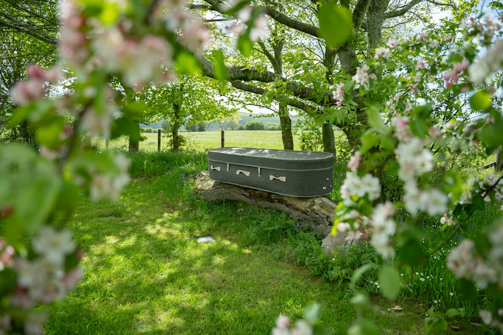 Dark coffin surrounded by spring blossoms and lush green grass