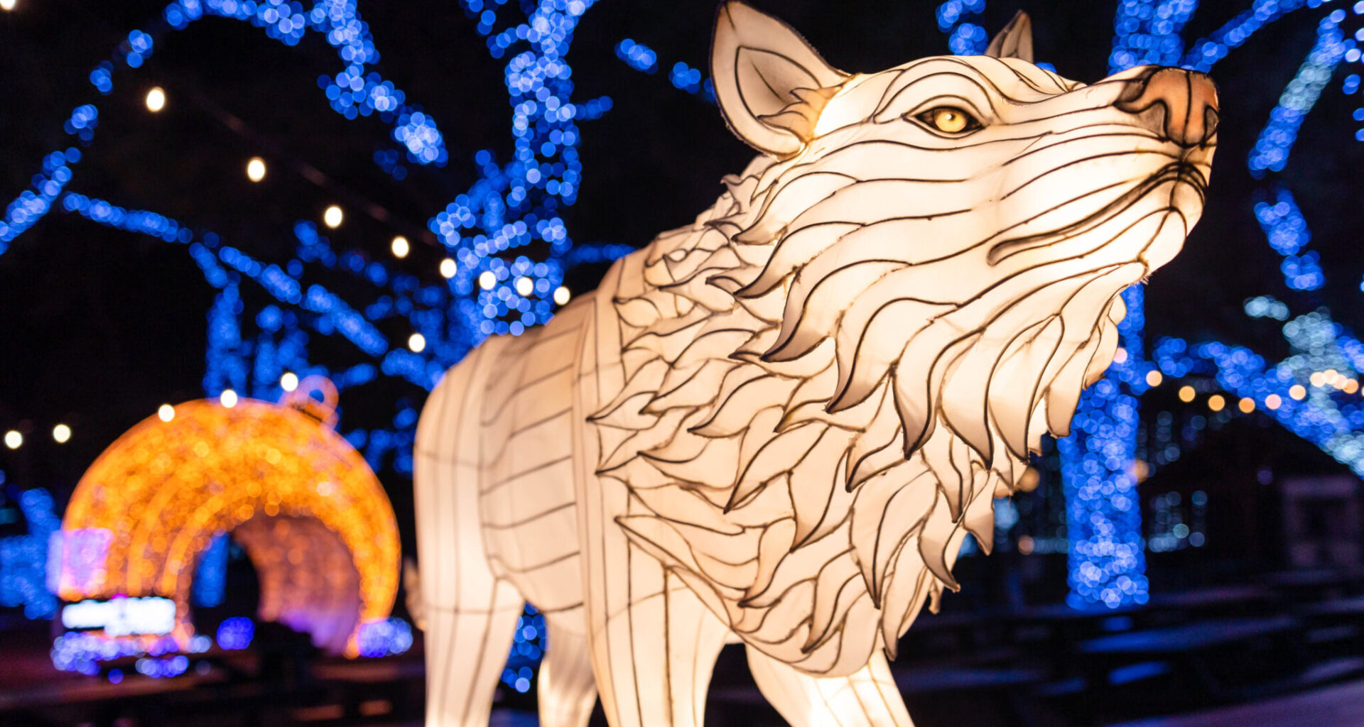 Annual Dallas Zoo Lights return Nov. 13, tickets on sale now