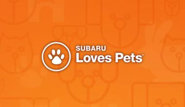 Free pet adoptions Saturday at “Subaru Loves Pets”