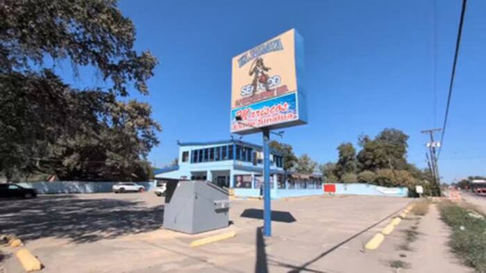 Dead pests, rodent droppings and dirty hands: San Antonio restaurant shut down after 27 issues flagged