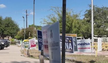 Harris County breaks early voting records as Senate race heats up