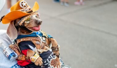 Rover.com lists Dallas’ top pet names for 2026