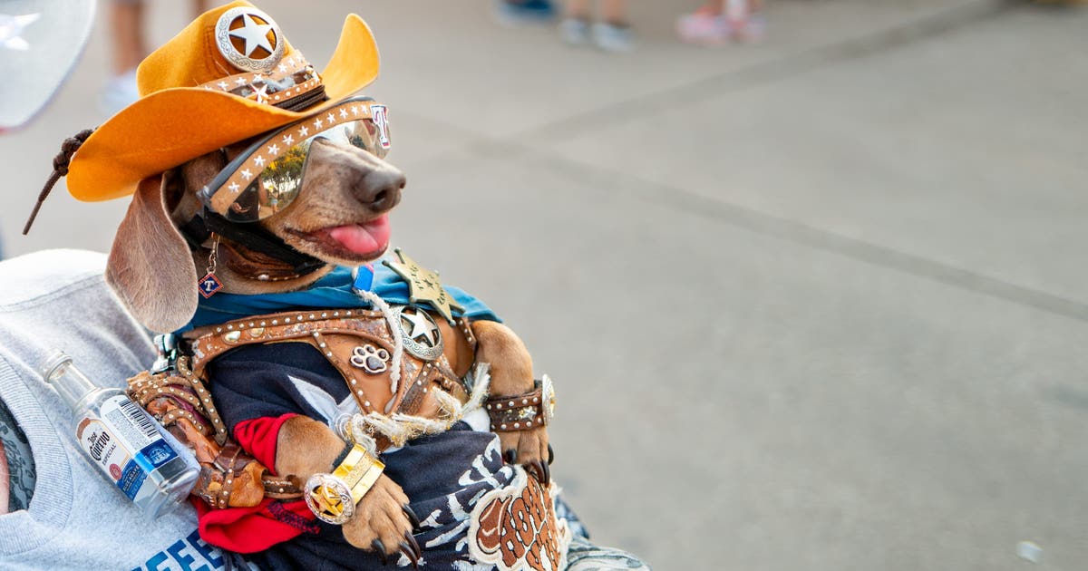 Rover.com lists Dallas’ top pet names for 2026
