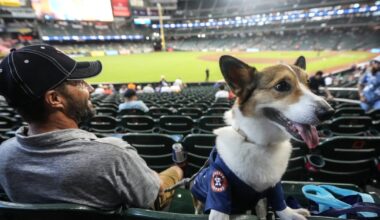 Rover.com lists Houston’s top pet names for 2026