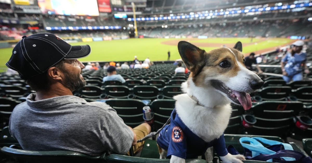 Rover.com lists Houston’s top pet names for 2026