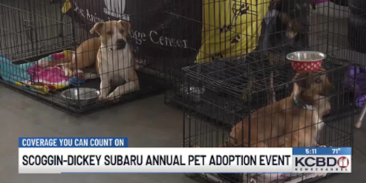 Furry friends find new homes at Scoggin-Dickey Subaru pet adoption event