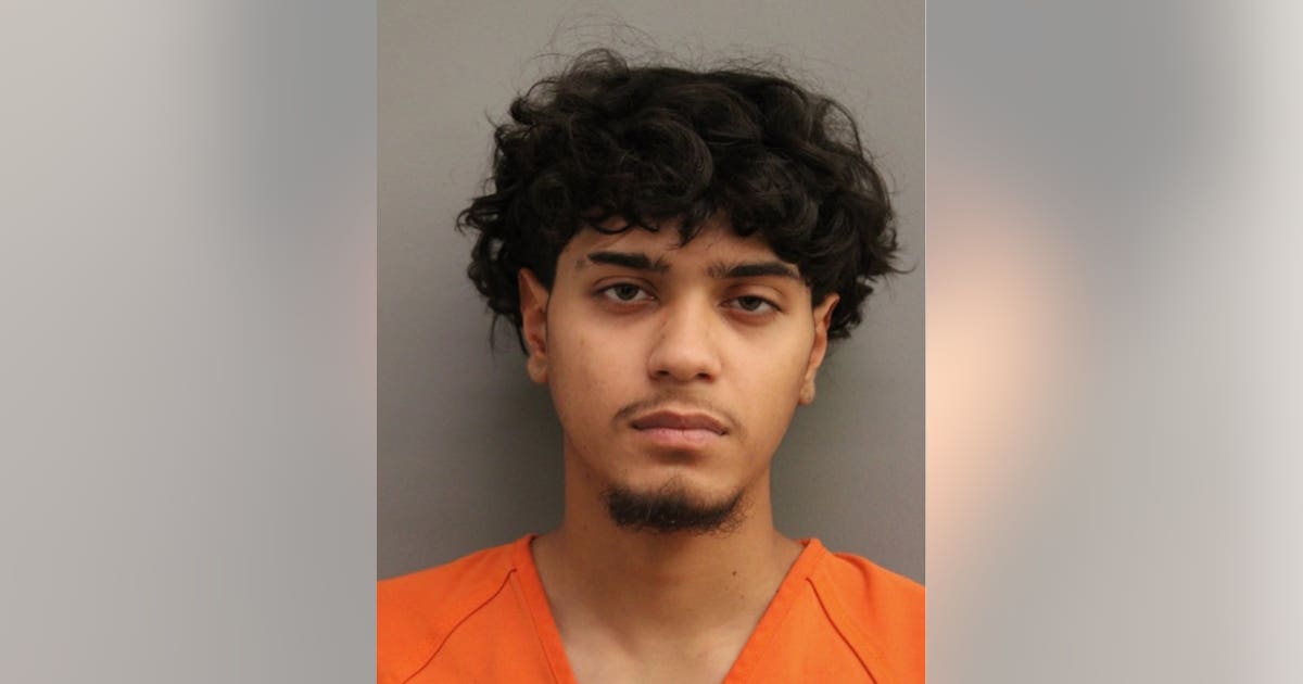 Harris County man arrested after allegedly stabbing ex-girlfriend, two dogs found shot dead