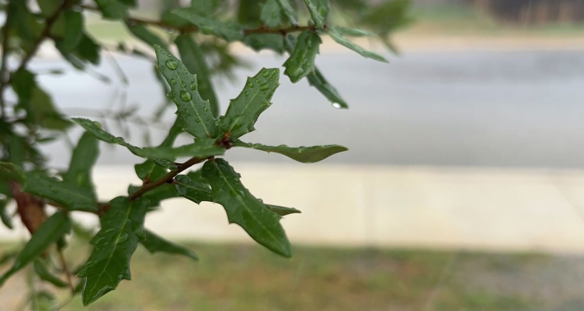 Thunderstorm chances rise in San Antonio. Here's what to expect