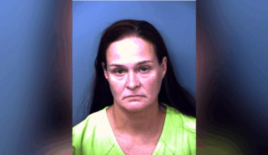El Paso County traffic stop leads to discovery of 72 exotic animals; woman arrested