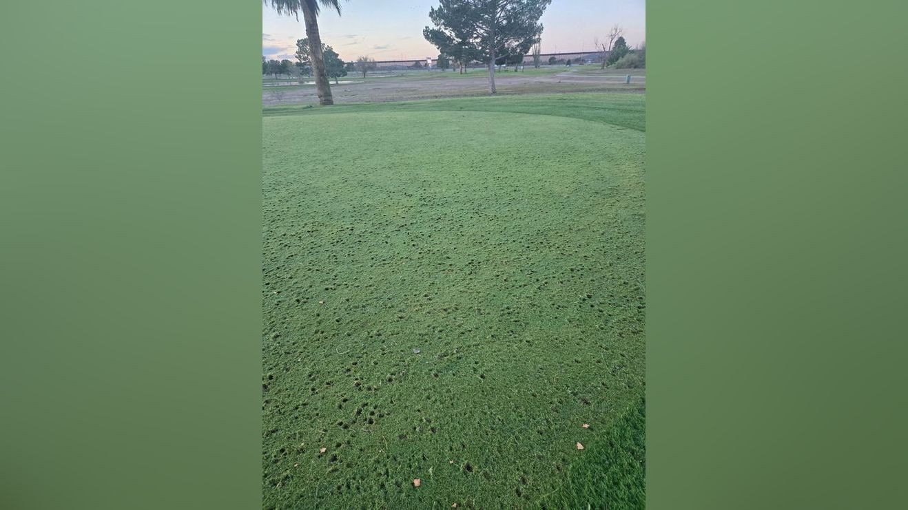 Hail damage shuts Ascarate Golf Course main course and Delta Nine on Saturday