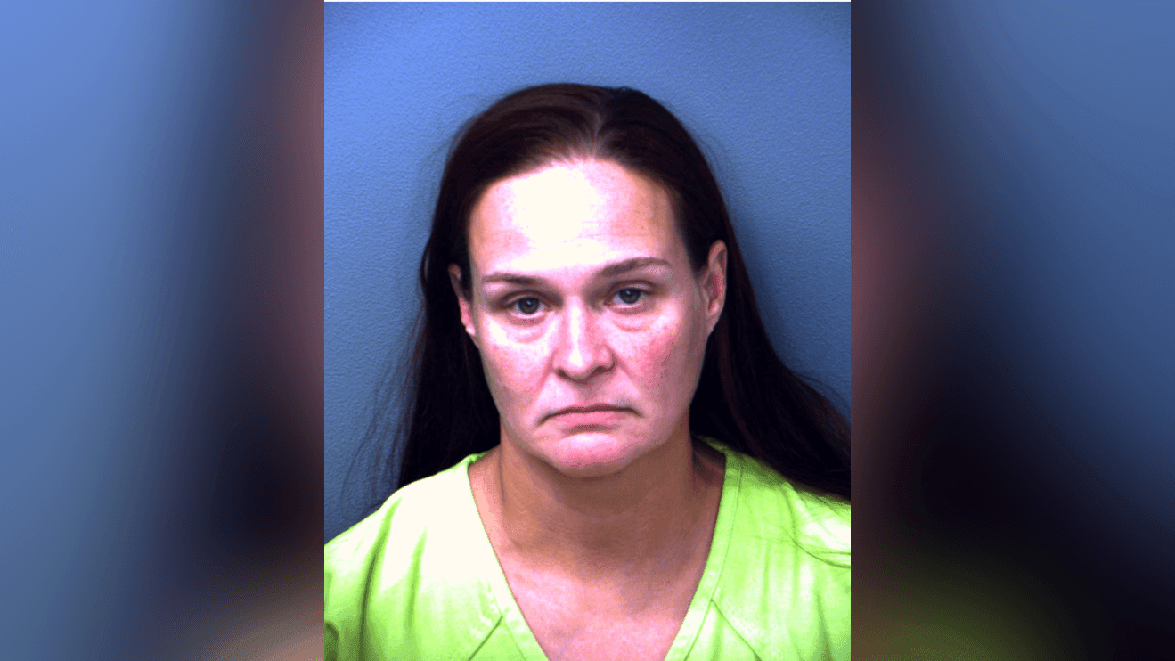 El Paso County traffic stop leads to discovery of 72 exotic animals; woman arrested
