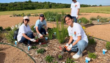 Lake Arlington Garden Activity Day
