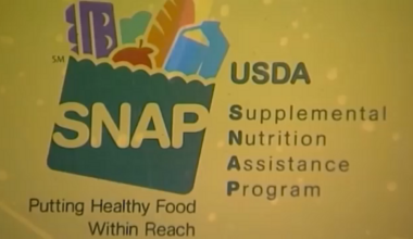 Changes to SNAP benefits, as report shows Houston-area enrollment drops