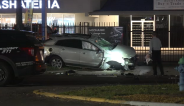 Driver hospitalized after fighting with officers, crashing into tree in West Houston, police department says