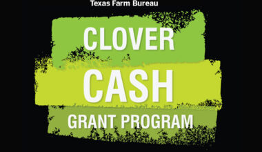 Texas Farm Bureau names 2026 Clover Cash grant recipients Texas Farm Bureau awarded $18,500 to 17 county, district and state 4-H programs through the Clover Cash Grant Program.