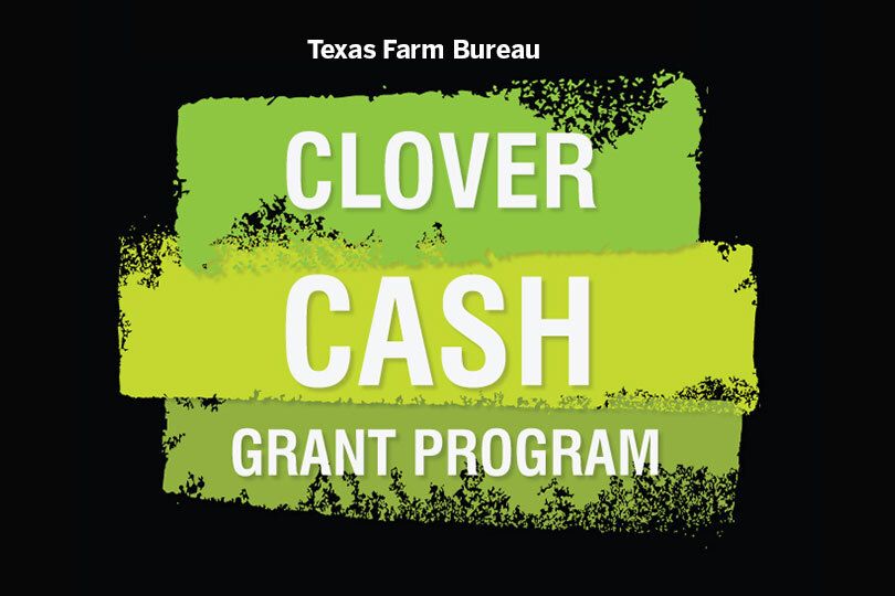 Texas Farm Bureau names 2026 Clover Cash grant recipients Texas Farm Bureau awarded $18,500 to 17 county, district and state 4-H programs through the Clover Cash Grant Program.